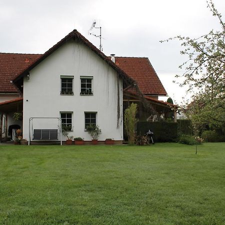 Krasny Apartman V Brane Luzickych Hor Cvikov Zewnętrze zdjęcie