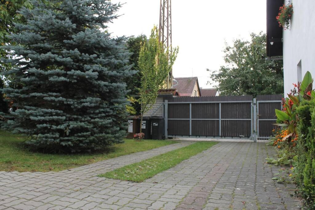 Krasny Apartman V Brane Luzickych Hor Cvikov Zewnętrze zdjęcie
