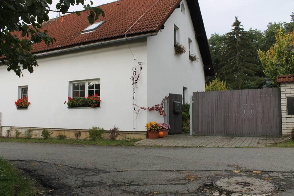 Krasny Apartman V Brane Luzickych Hor Cvikov Zewnętrze zdjęcie
