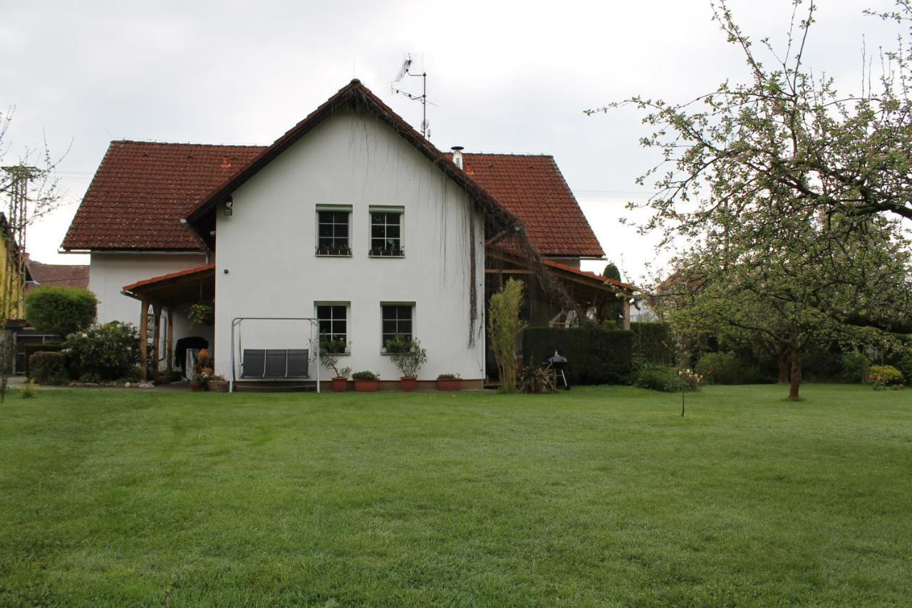 Krasny Apartman V Brane Luzickych Hor Cvikov Zewnętrze zdjęcie